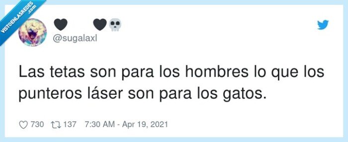 punteros,hombres,láser,tetas,gatos