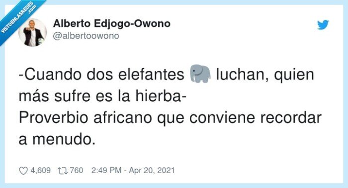 elefantes,proverbio africano,hierba,sufrir