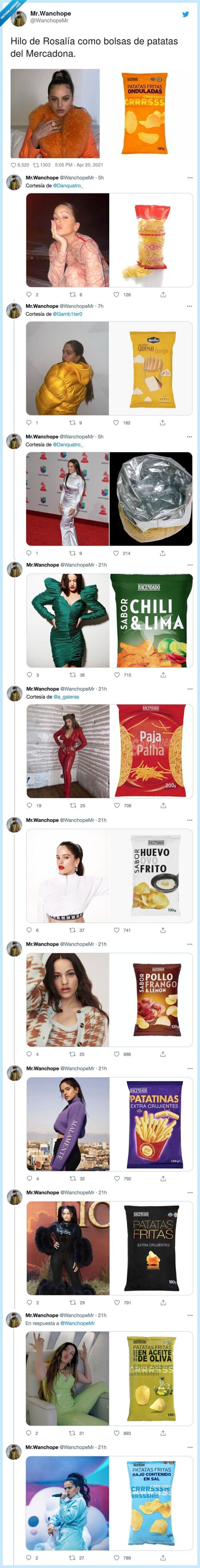 862975 - Rosalía como bolsas de patatas del Mercadona, con cuál te quedas, por @WanchopeMr