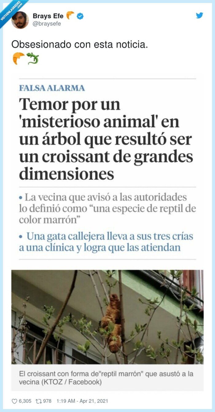misterioso animal,croissant,árbol