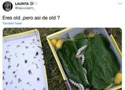 Enlace a Cuando digievolucionaban en mariposas, me daban miedo sus ojos, eran los ojos más negros y chungos que había visto nunca, por @laauuraalm_