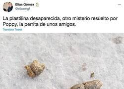 Enlace a Desaparece la plastilina en esta casa y al final el ladrón se delata cuando va al baño, por @eliasmgf