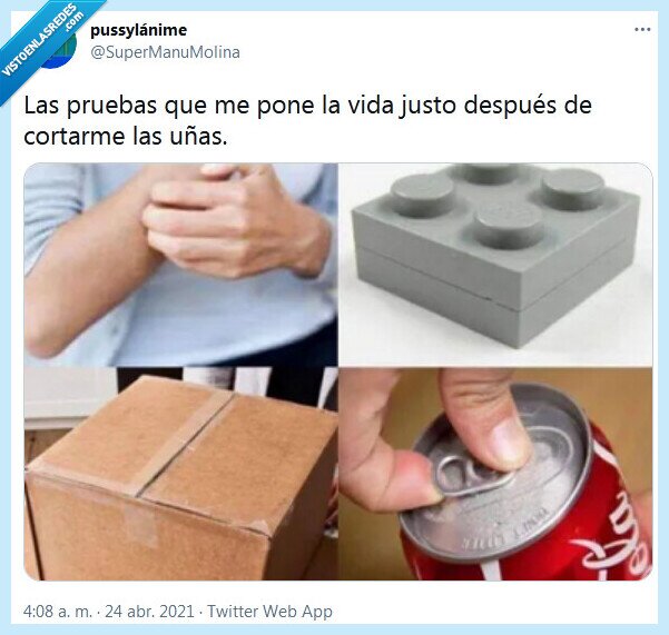 uñas,vida,prueba,cortarme