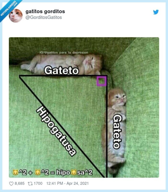 gateto,gato,hipogatusa,formula
