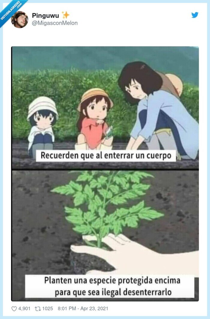 especie ilega,plantar,enterrar,cuerpo