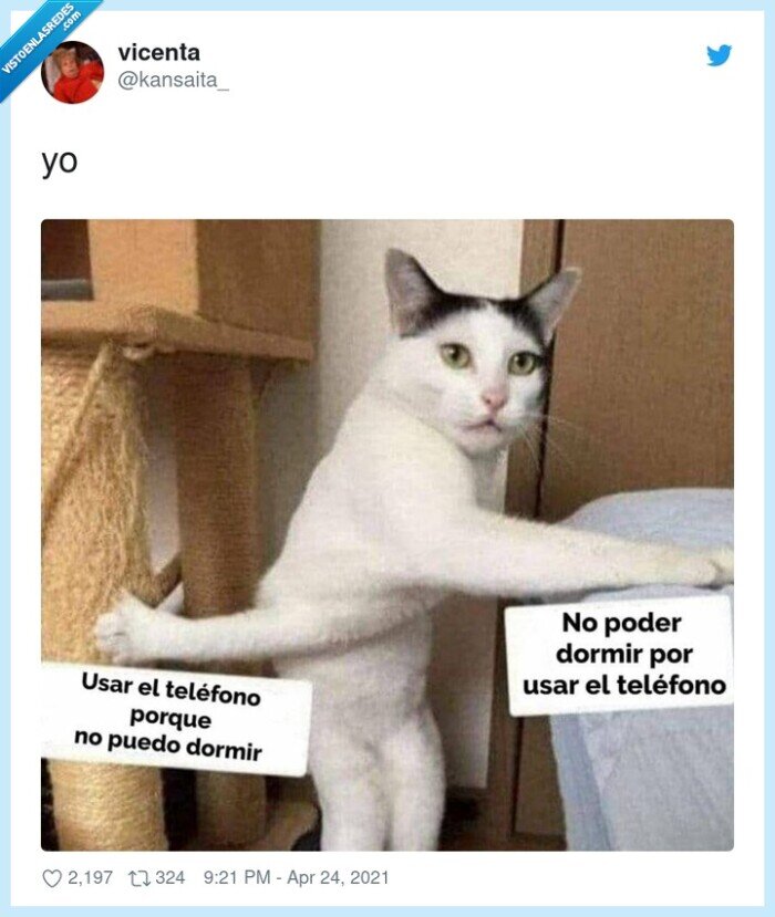 teléfono,dormir,gato