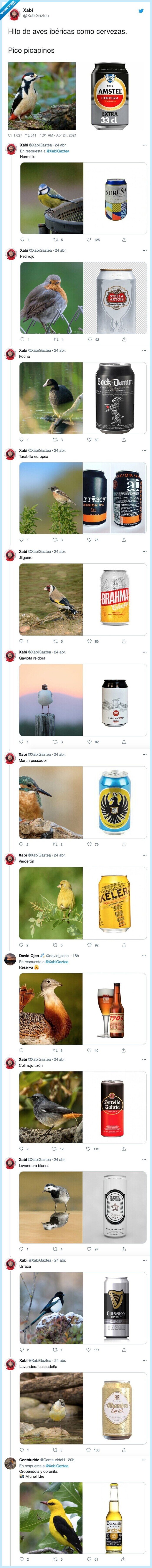 picapinos,ibéricas,cervezas,hilo,aves