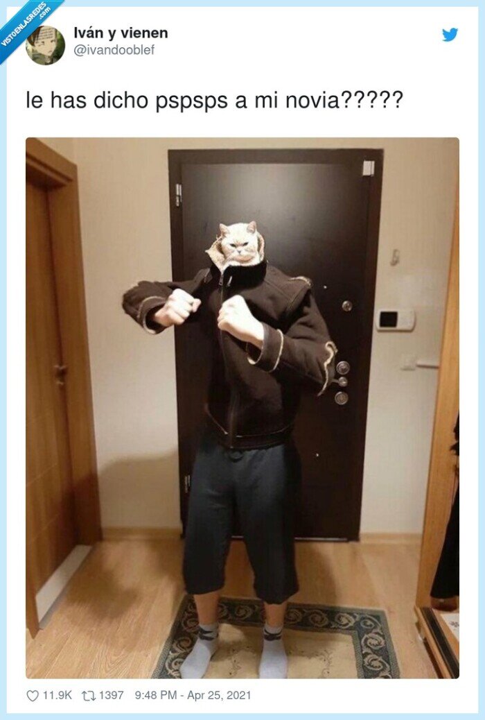 pspsps,dicho,novia,gato