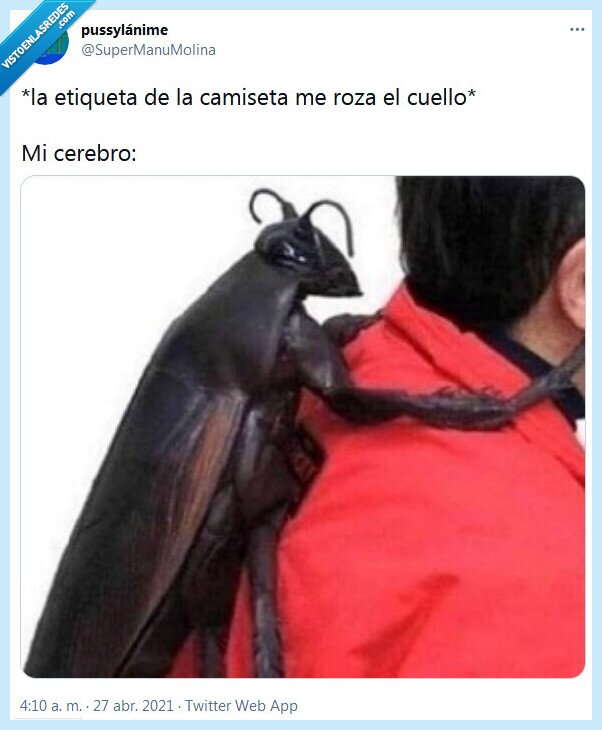 etiqueta,camiseta,rozar,cuello,insecto