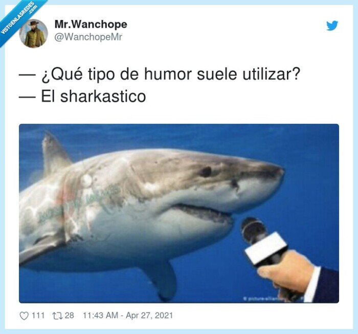 sharkastico,utilizar,humor,tiburón