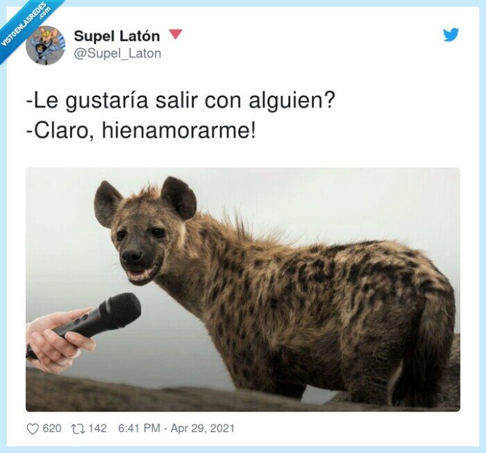 hienamorarme,gustar&iacute;a,alguien,hiena,salir