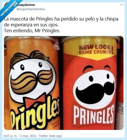 pringles,mascota,pelo,chispa