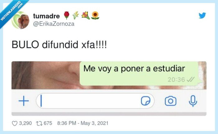 difundir,bulo,estudiar