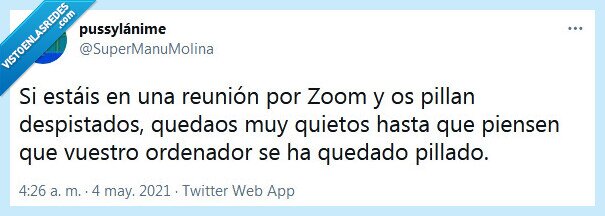 zoom,reunión,despistados,ordenador