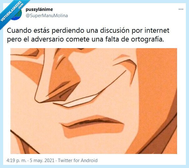 falta,ortografía,discutir,internet