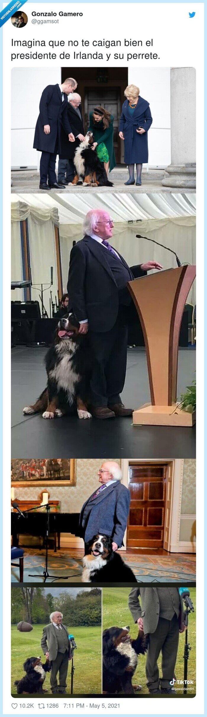 presidente,irlanda,perrete,caer bien
