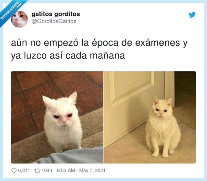 exámenes,mañana,época,lucir