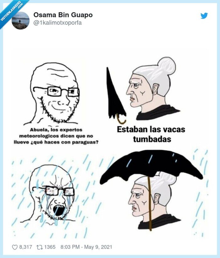 tiempo,llover,abuela,paraguas