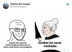 Enlace a Las abuelas nunca fallan, por @1kalimotxoporfa