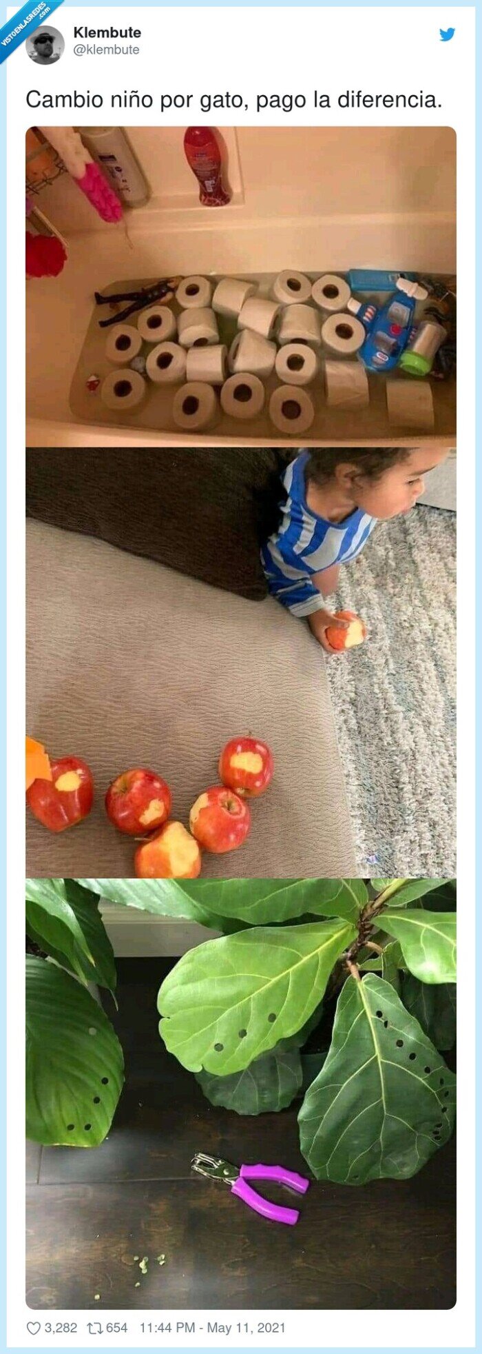 diferencia,cambio,niño,gato,pagar