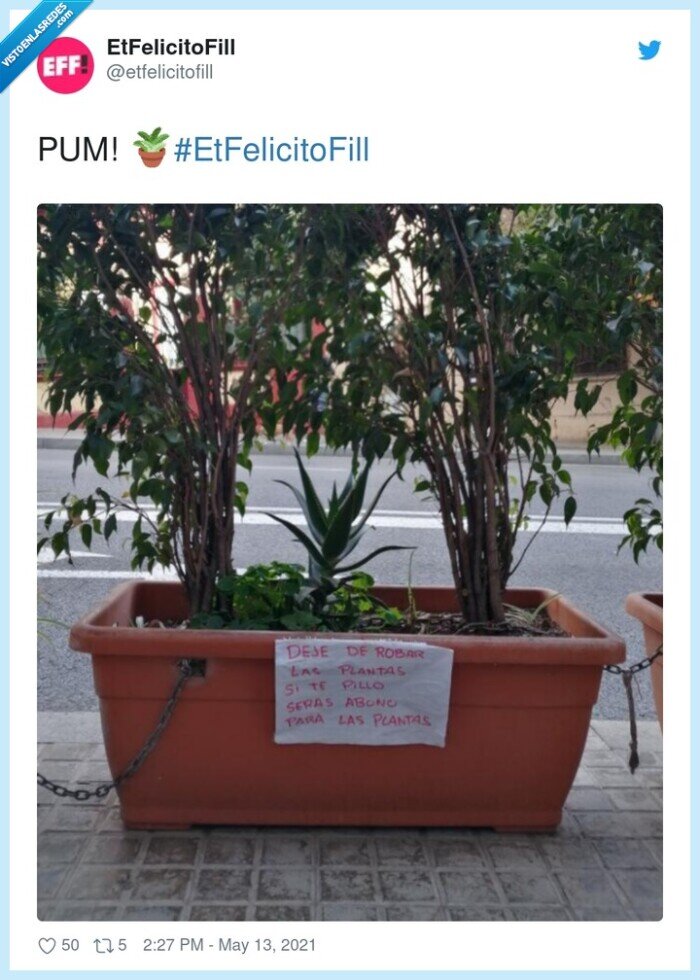 maceta,abono,plantas