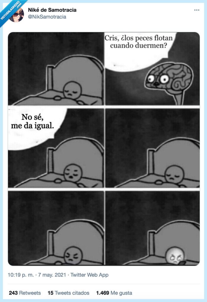 dormir,despertar,cerebro,peces