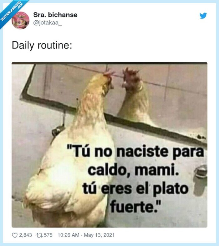 gallina,caldo,plato fuerte