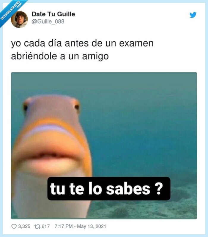 examen,antes,amigo,cada día