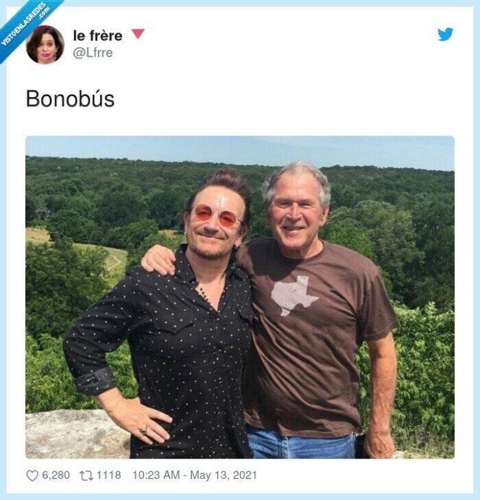bonob&uacute;s,bono,bush