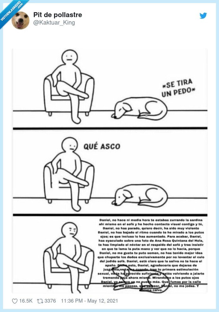 pedo,perro,sinvergüenza