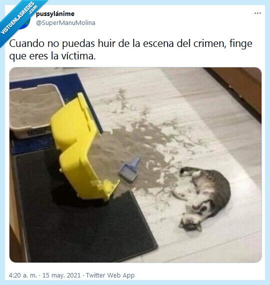 víctima,escena,crimen,huir,fingir