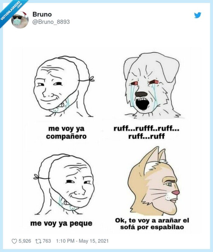 gato,perro,extrañar