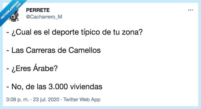 deporte,camellos,carreras,arabes