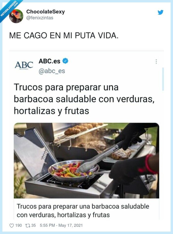 barbacoa,saludable,frutas,verduras