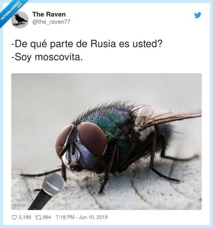 moscovita,parte,rusia,mosca
