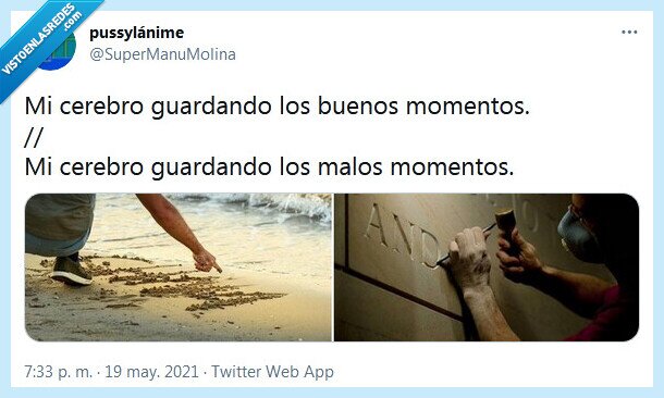 momentos,cerebro,guardar