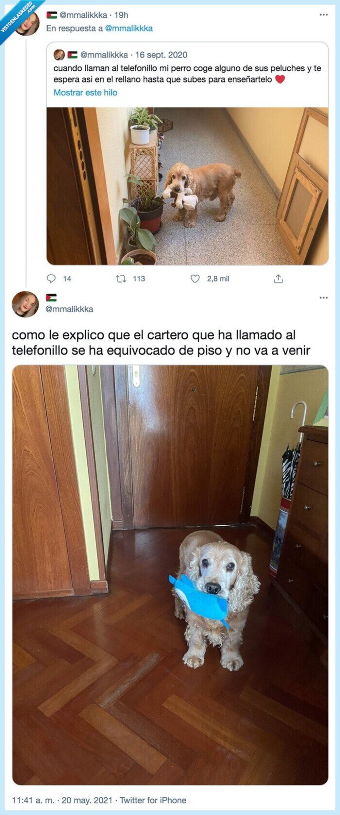 telefonillo,equivocado,perro,cartero,venir