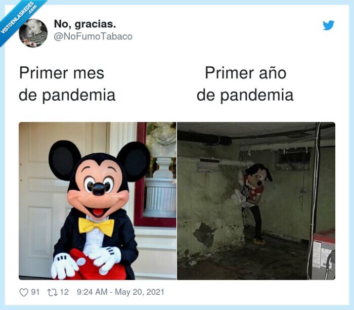 pandemia,primer año,mes,mickey