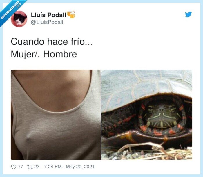cuando,mujer/,hombre,frío,pezon,tortuga,caparazón