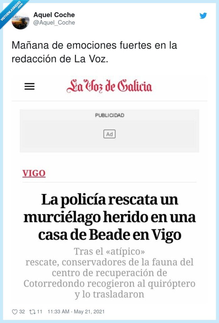 noticia,murciélago,vigo