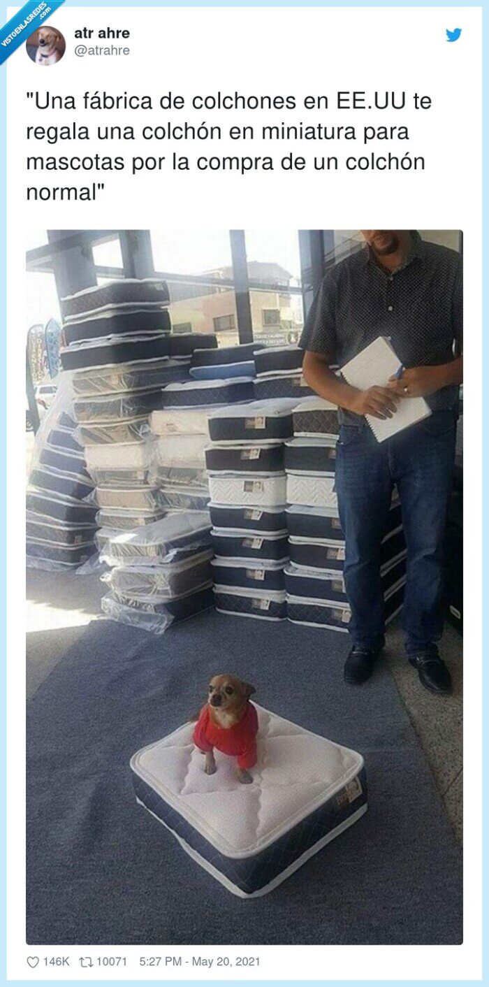 colchones,miniatura,f&aacute;brica,colch&oacute;n,mascotas,regalar