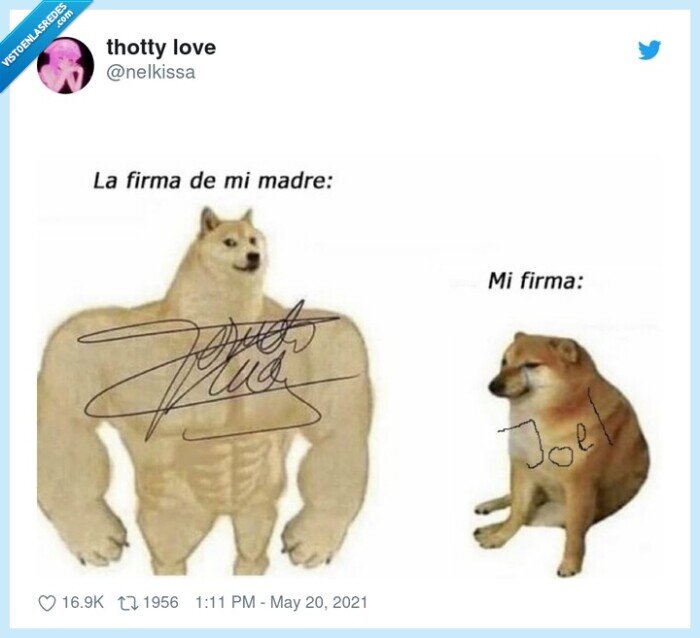 firma,padre,cheems,doge