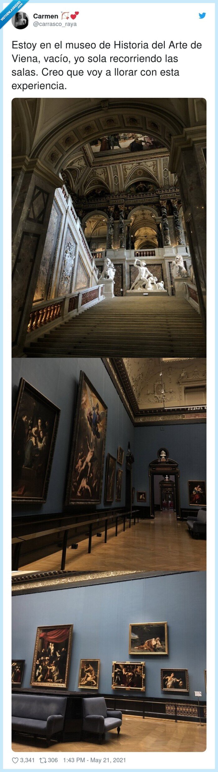 experiencia,recorriendo,historia del arte,vacío,museo,viena