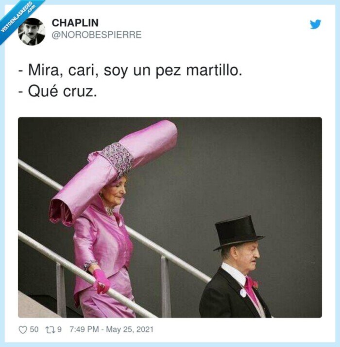 martillo,sombrero,wtf