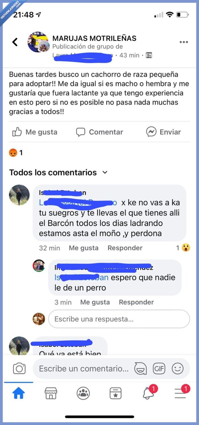 vecina,perro,adoptar