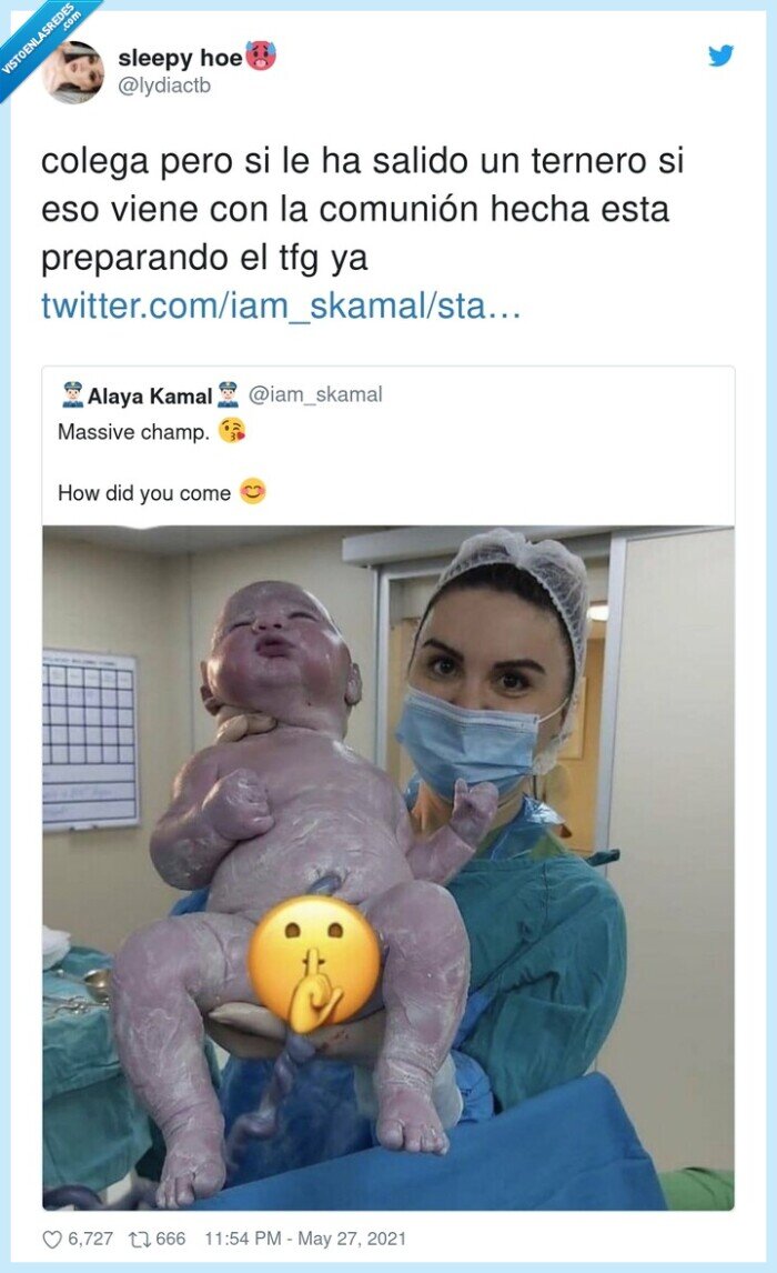 preparando,comunión,ternero,bebé,recién nacido