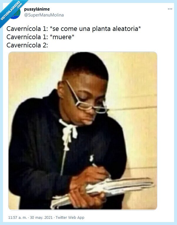 cavernícola,aprender,comer,planta