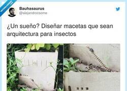 Enlace a Un sueño para arquitectos fans de los insectos, por @alejandrocsome