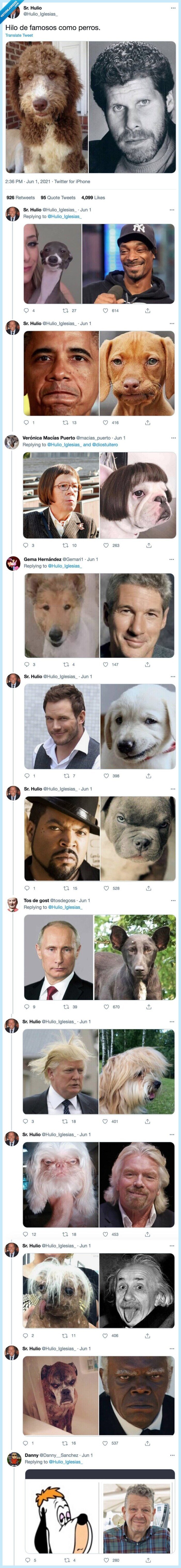 famosos,perros,hilo,iguales,parecidos razonables