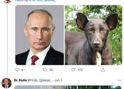 Enlace a Hilo de famosos que son clavados a perros, por @Hulio_Iglesias_